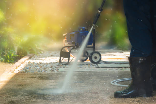 Best Patio and Deck Pressure Washing  in Lake St Croix Beach, MN